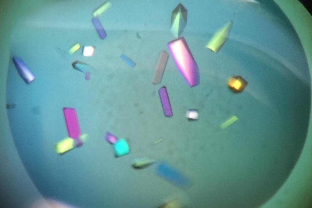 Protein Crystals obtained using Crystal Screen
